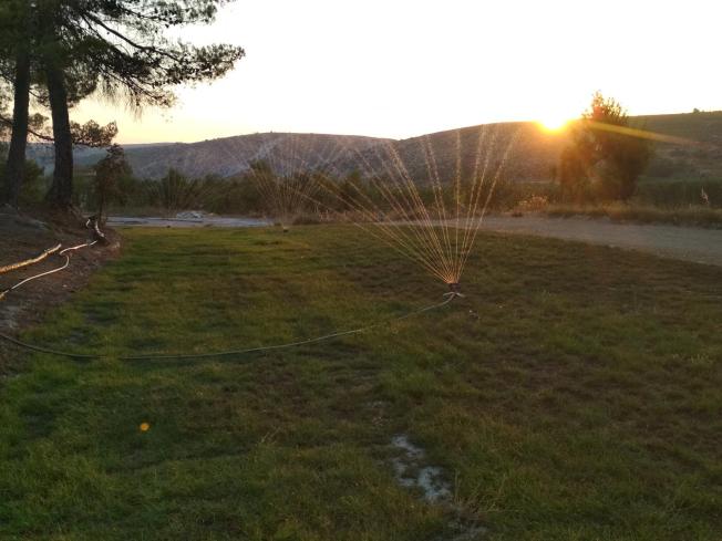 Atardecer sobre la finca