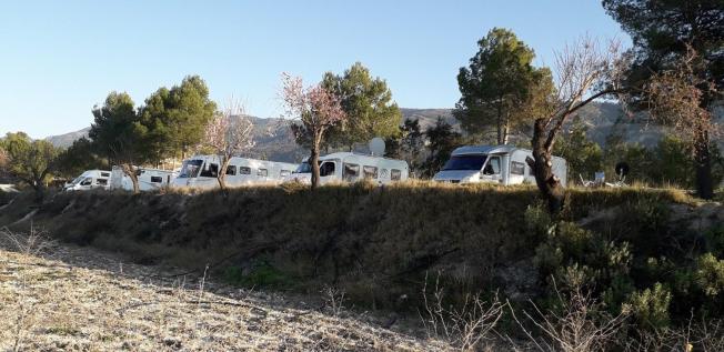 Autocaravanas junto a los almendros en flor